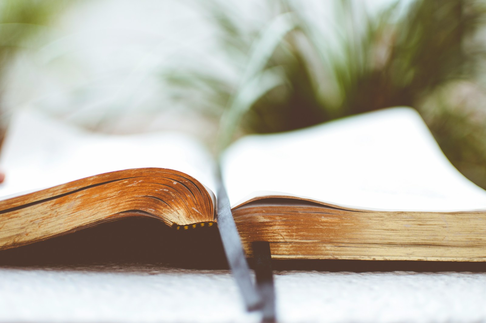 Open Bible