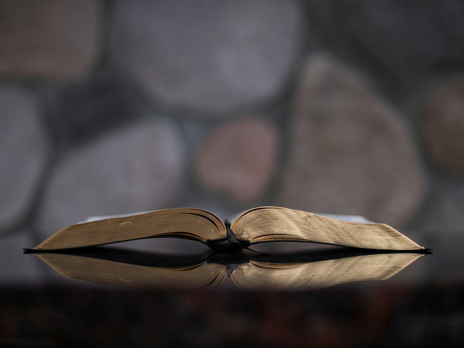 An open Bible