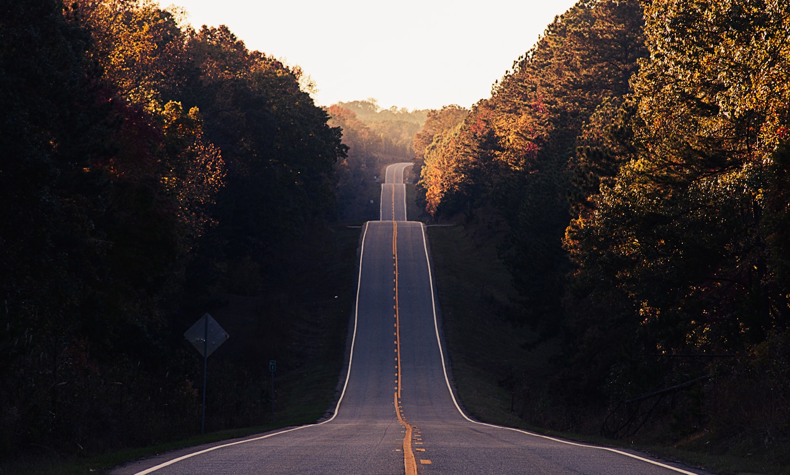 Path forward